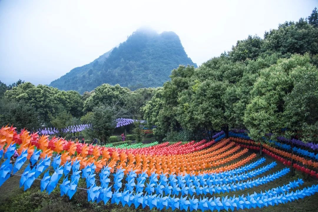 玉石林风车节活动现场美图