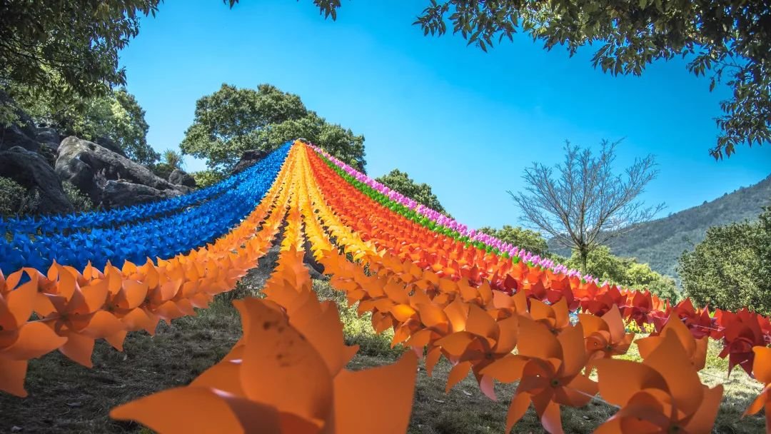 玉石林风车节活动现场美图