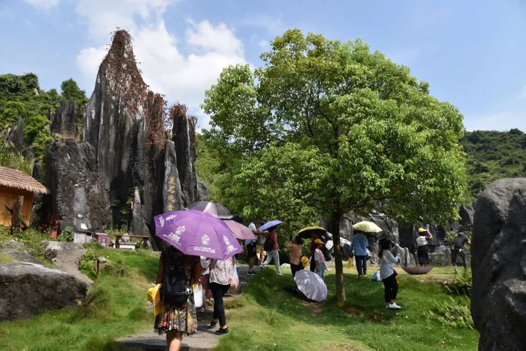 贺州玉石林景区迎来疫后首批跨省旅游团