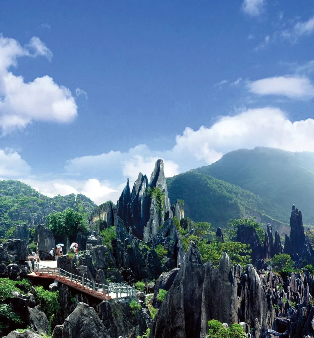 第二批100个“广西文化旅游打卡点”——玉石林景区
